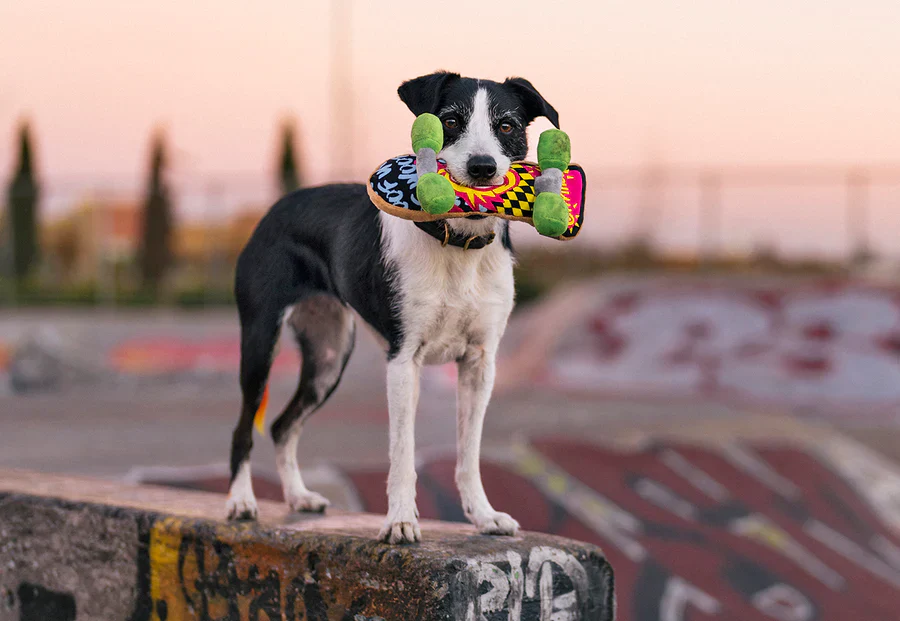 90s Classics Kickflippin' K9 - Image 5
