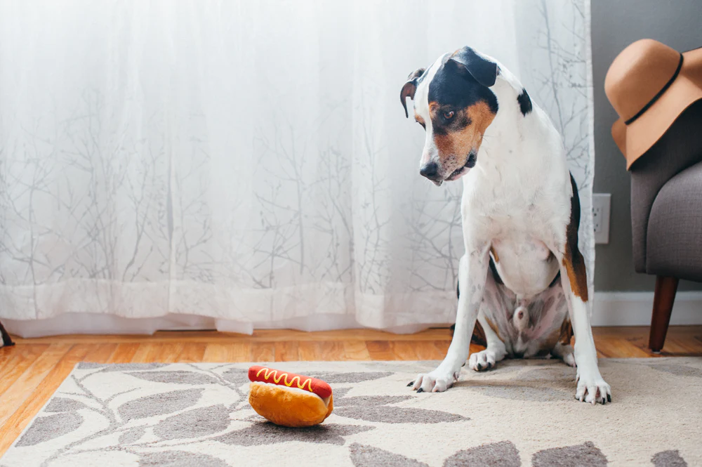 American Classic Hot Diggy Dog - Image 2