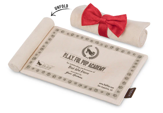Back to School Collection - Image 14