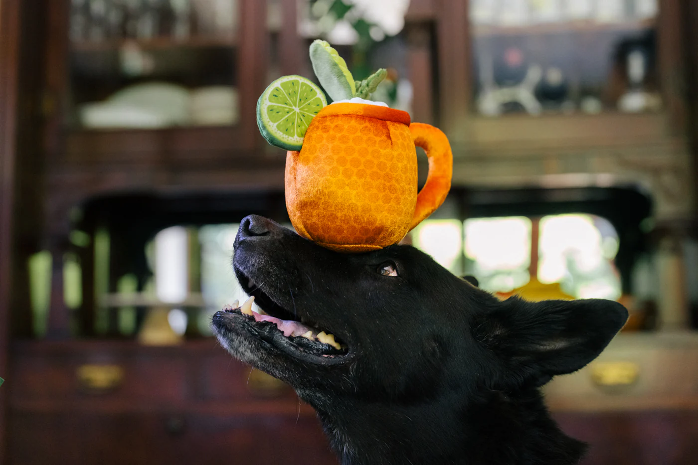 Barktender Mospaw Mule - Image 4
