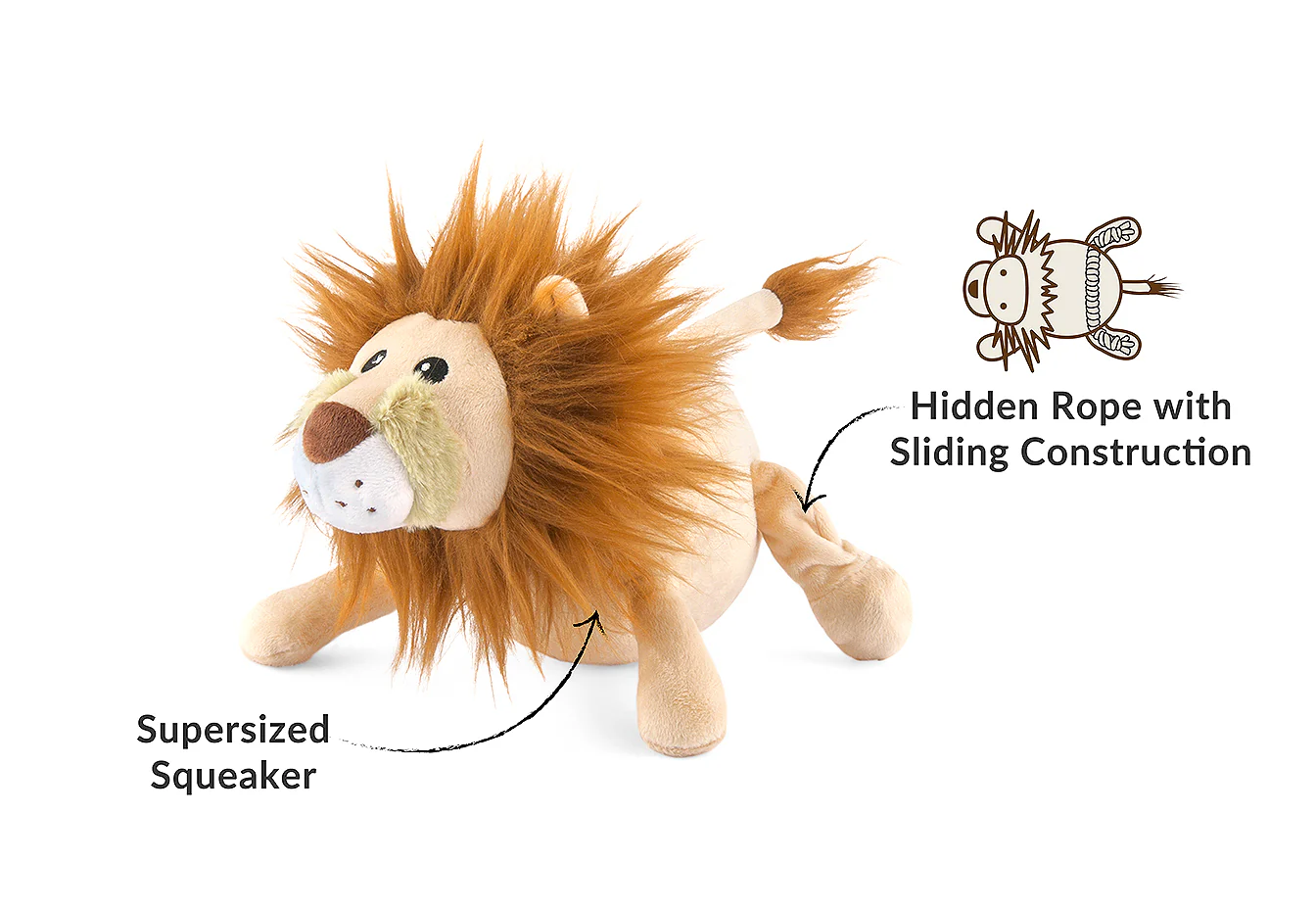 Big Five of Africa Lion - Image 3