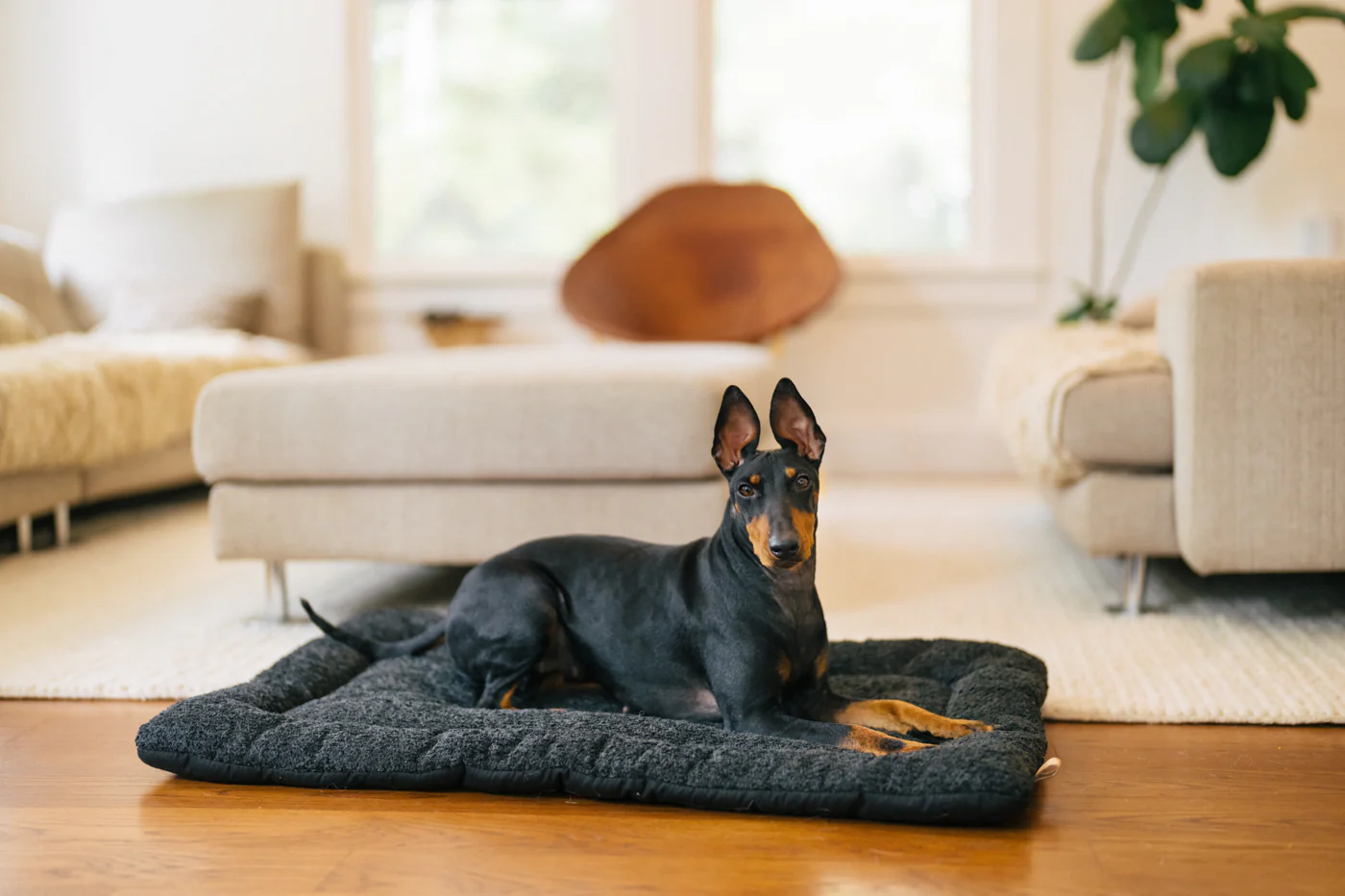 Canyon Series Chill Pad - Image 3