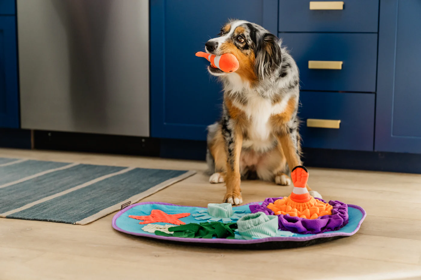 Coral Cove Snuffle Mat - Image 3