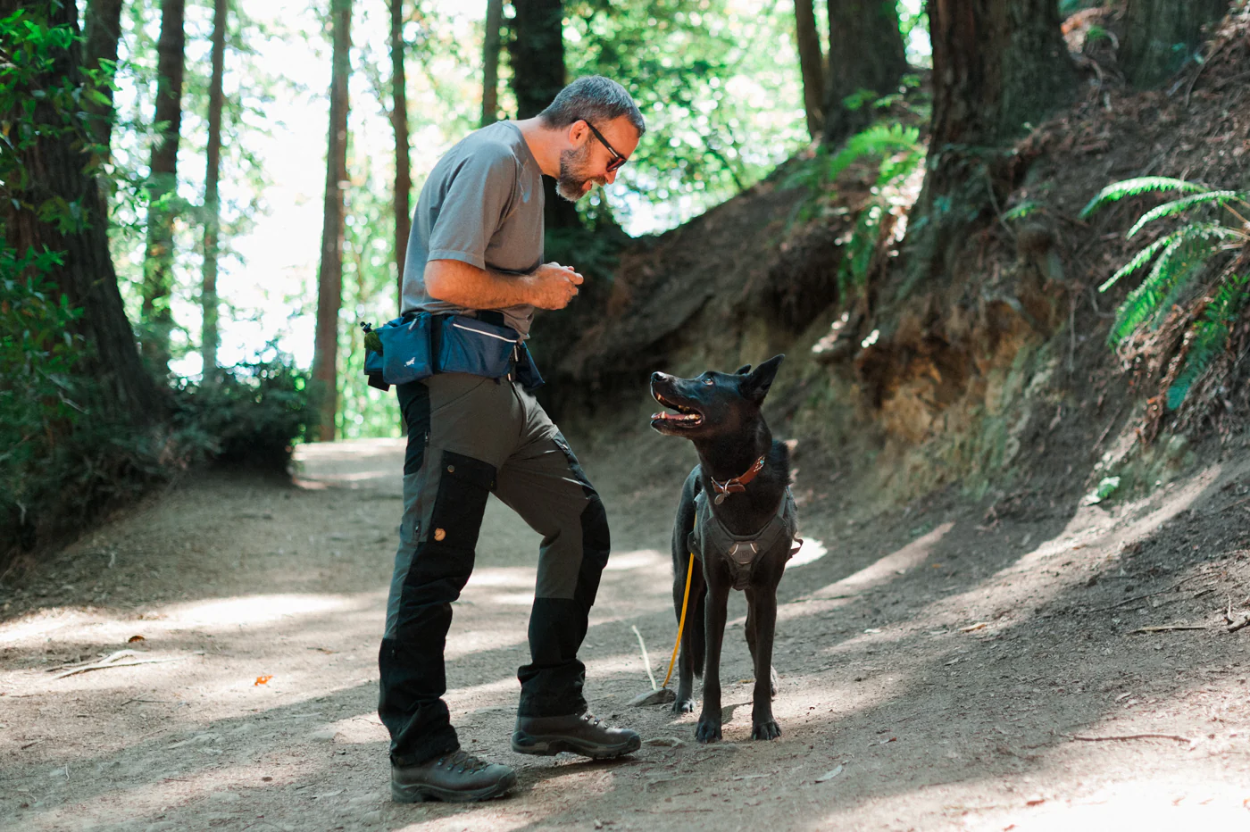 Explorer Pack - Image 8