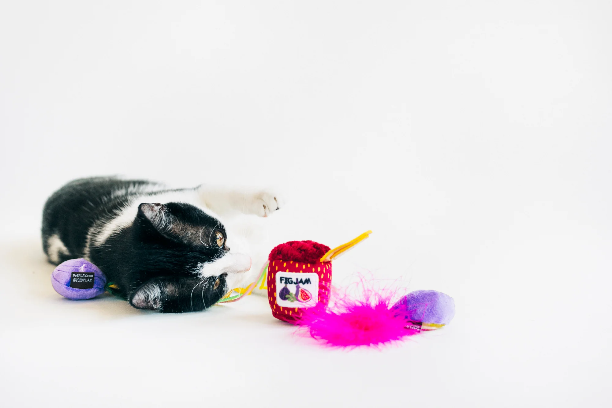 Feline Frenzy Fig N' Whiskers - Image 3