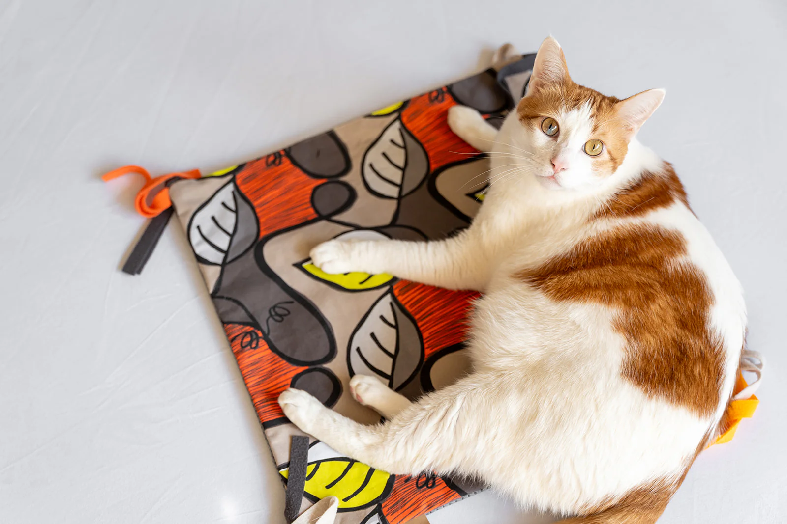 Feline Frenzy Purrfect Playtime Mat - Image 2