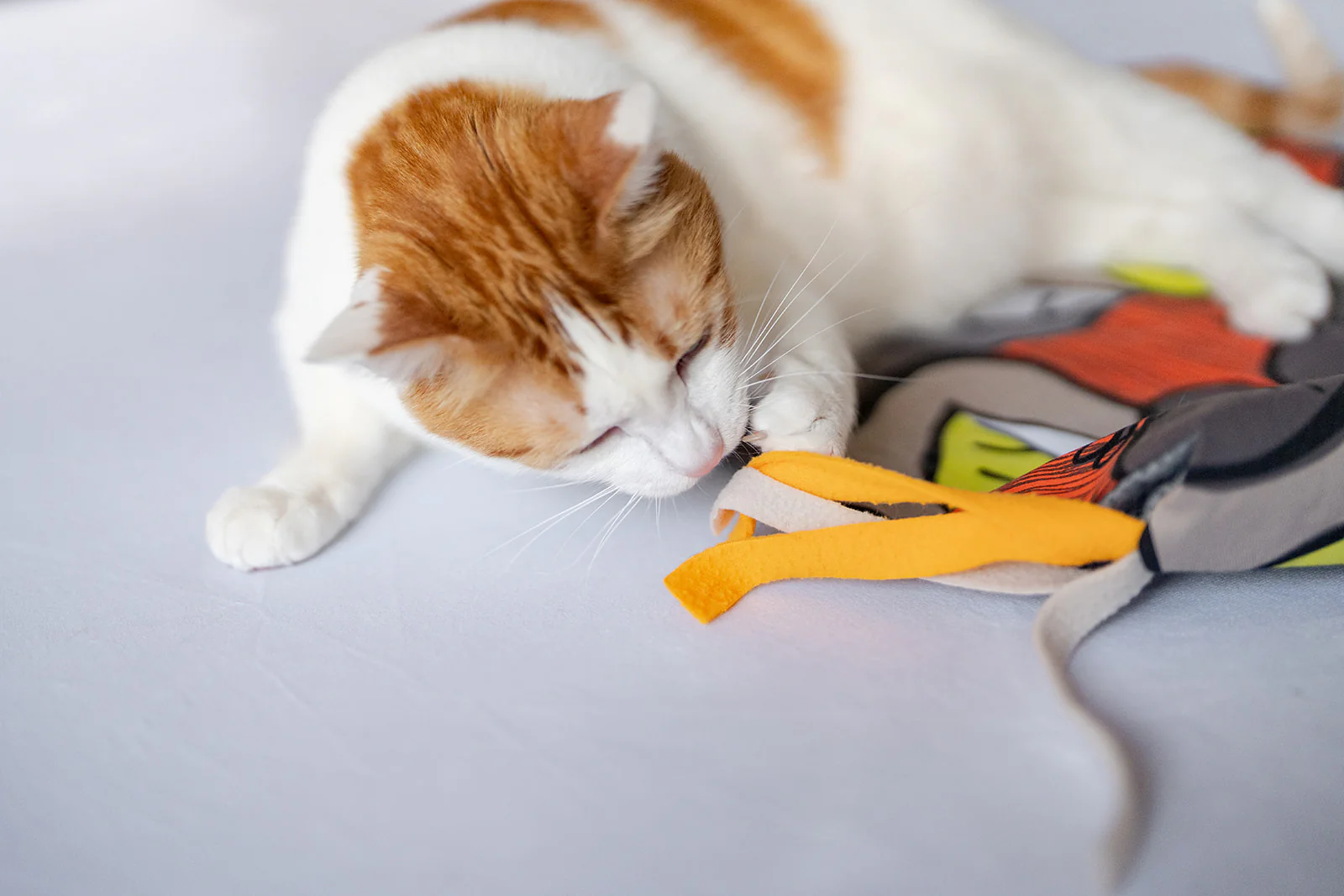 Feline Frenzy Purrfect Playtime Mat - Image 4