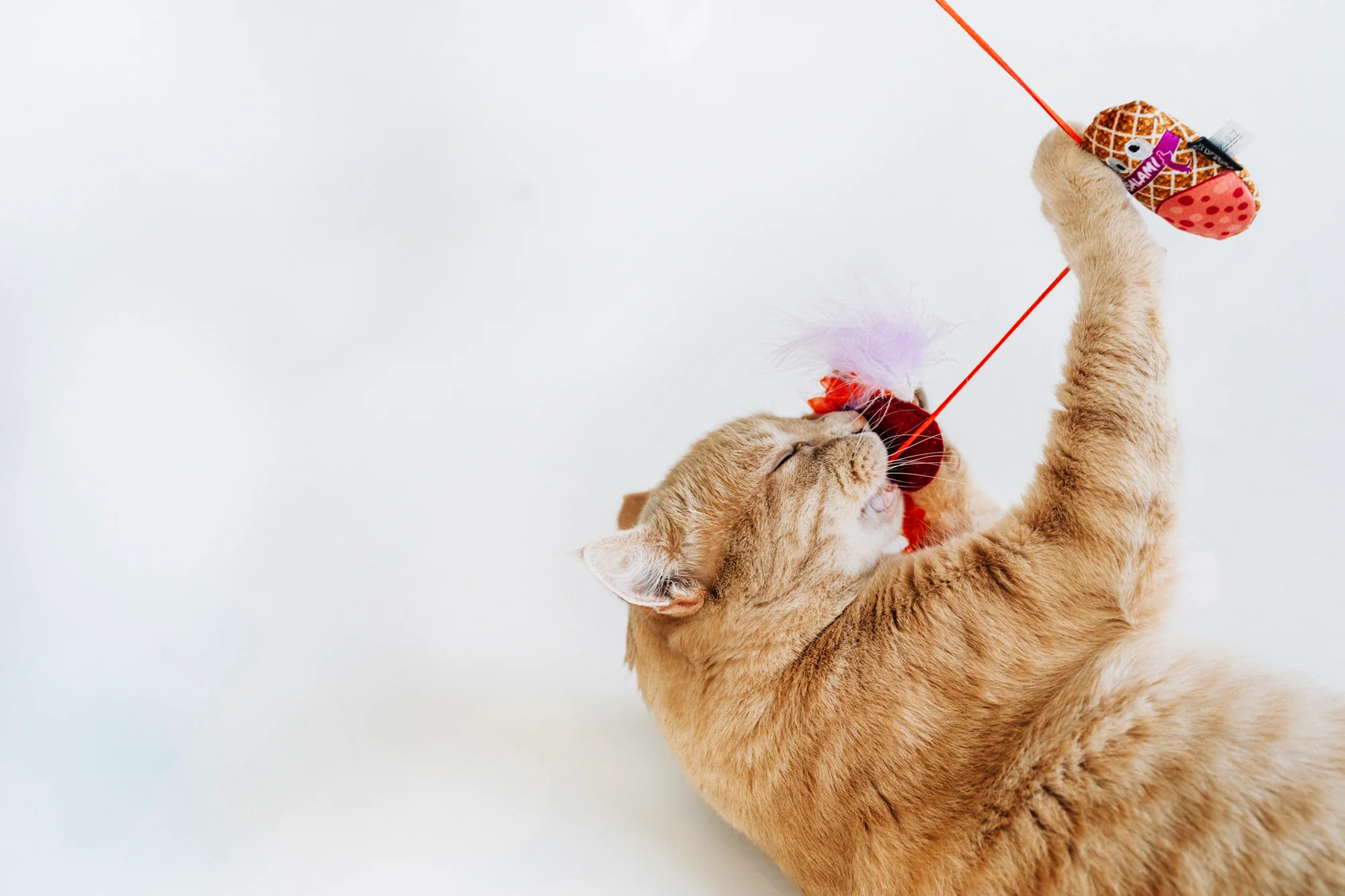 Feline Frenzy Swatlami Wand - Image 4