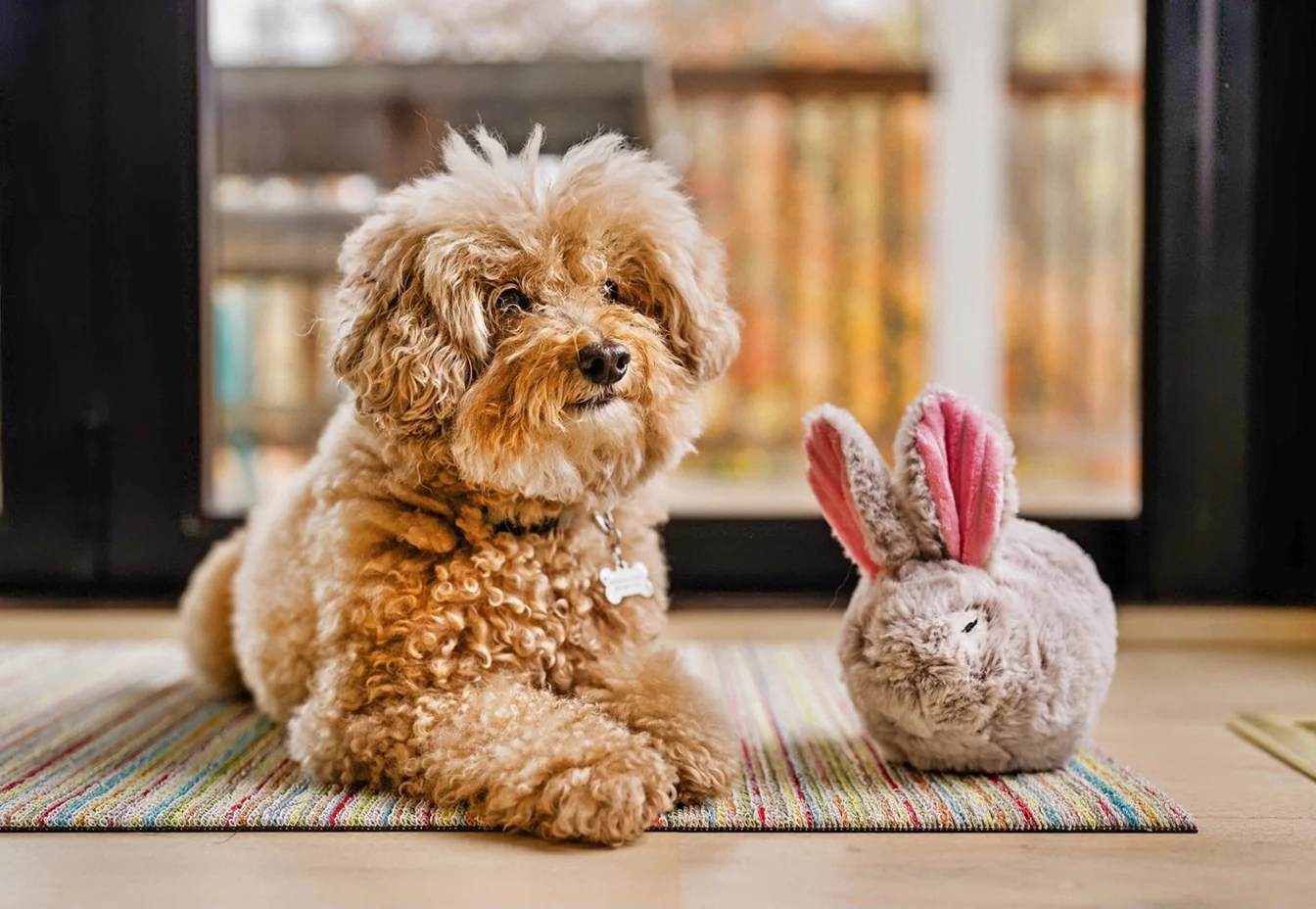 Forest Friends Baxter the Bunny - Image 2