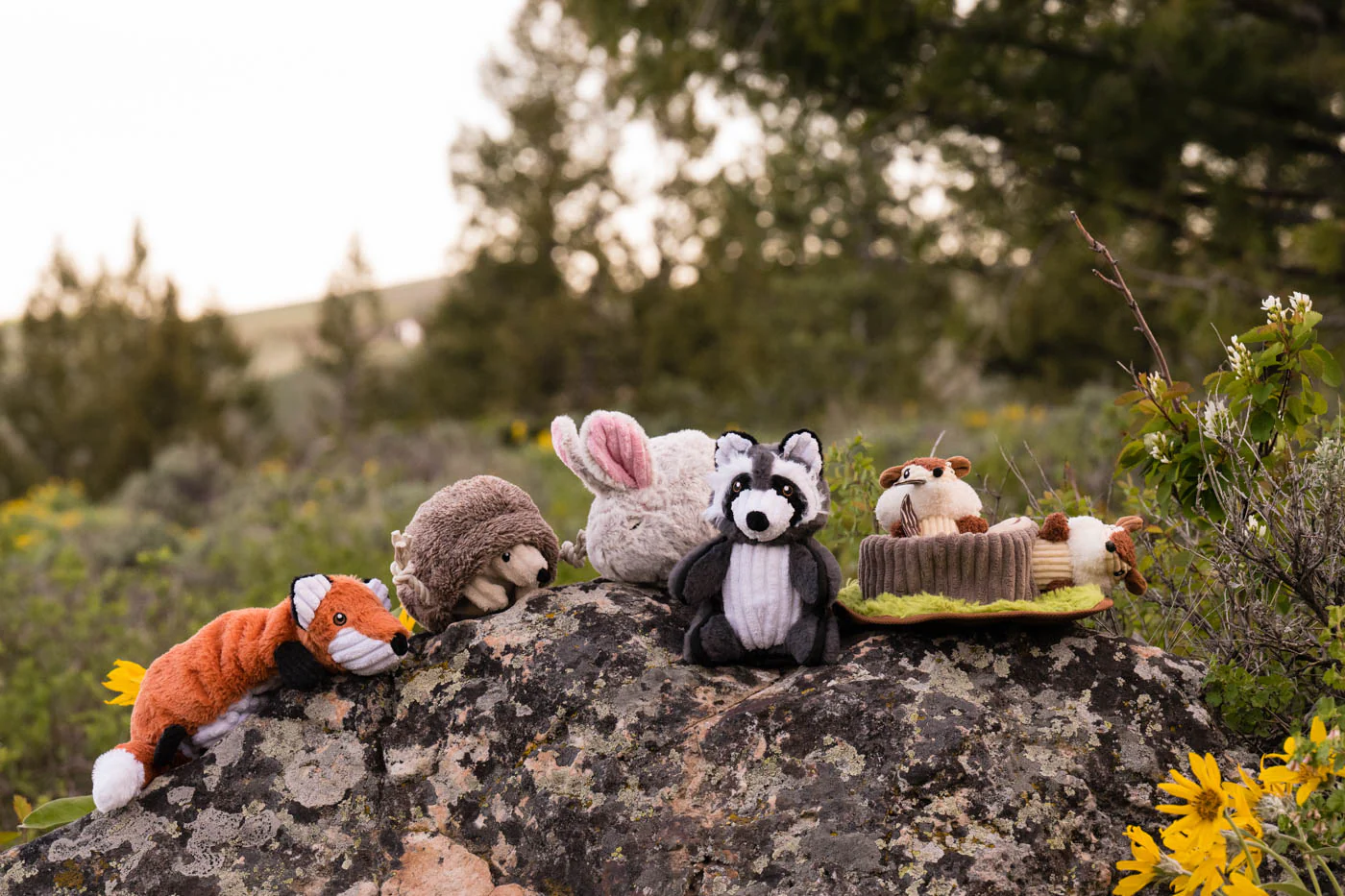 Forest Friends Collection - Image 2