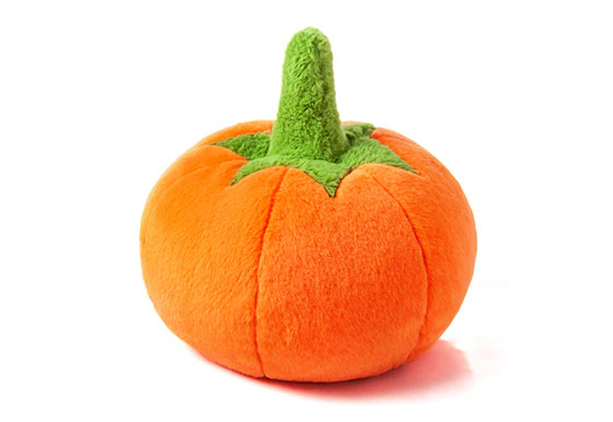 Garden Fresh Pumpkin