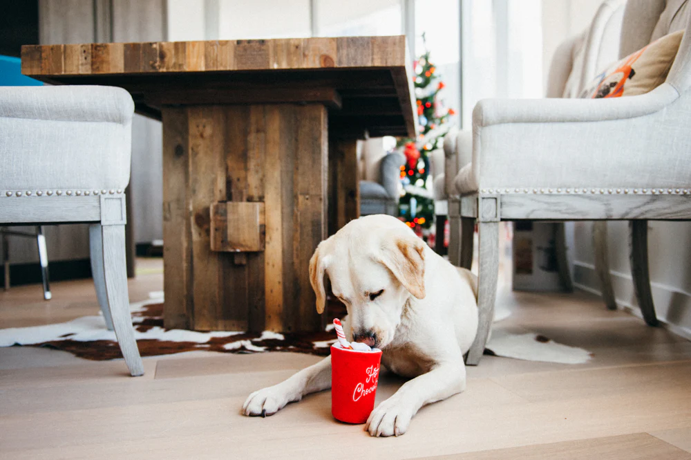 Holiday Classic Collection - Image 15