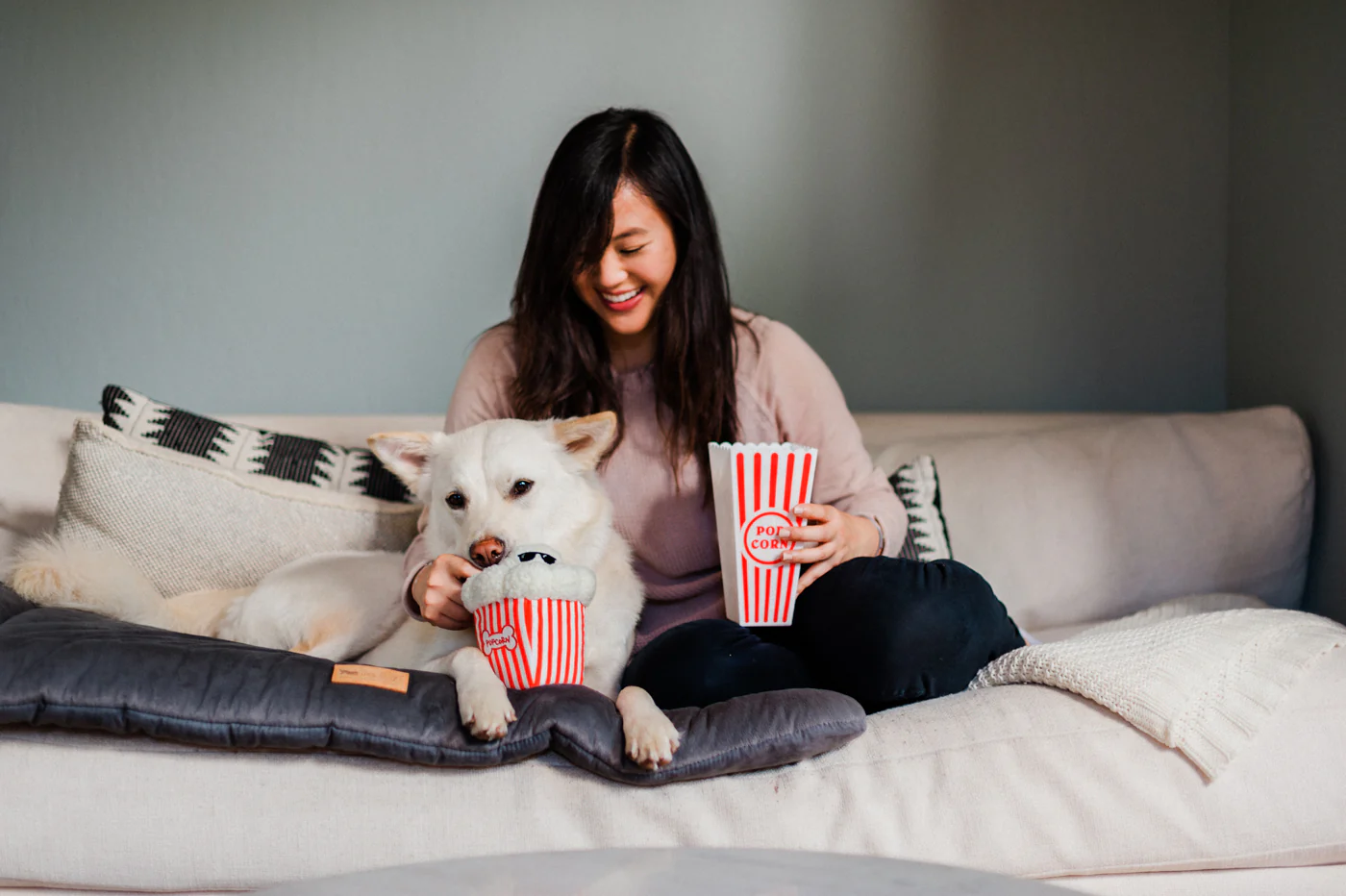 Hollywoof Cinema Poppin' Pupcorn - Image 5
