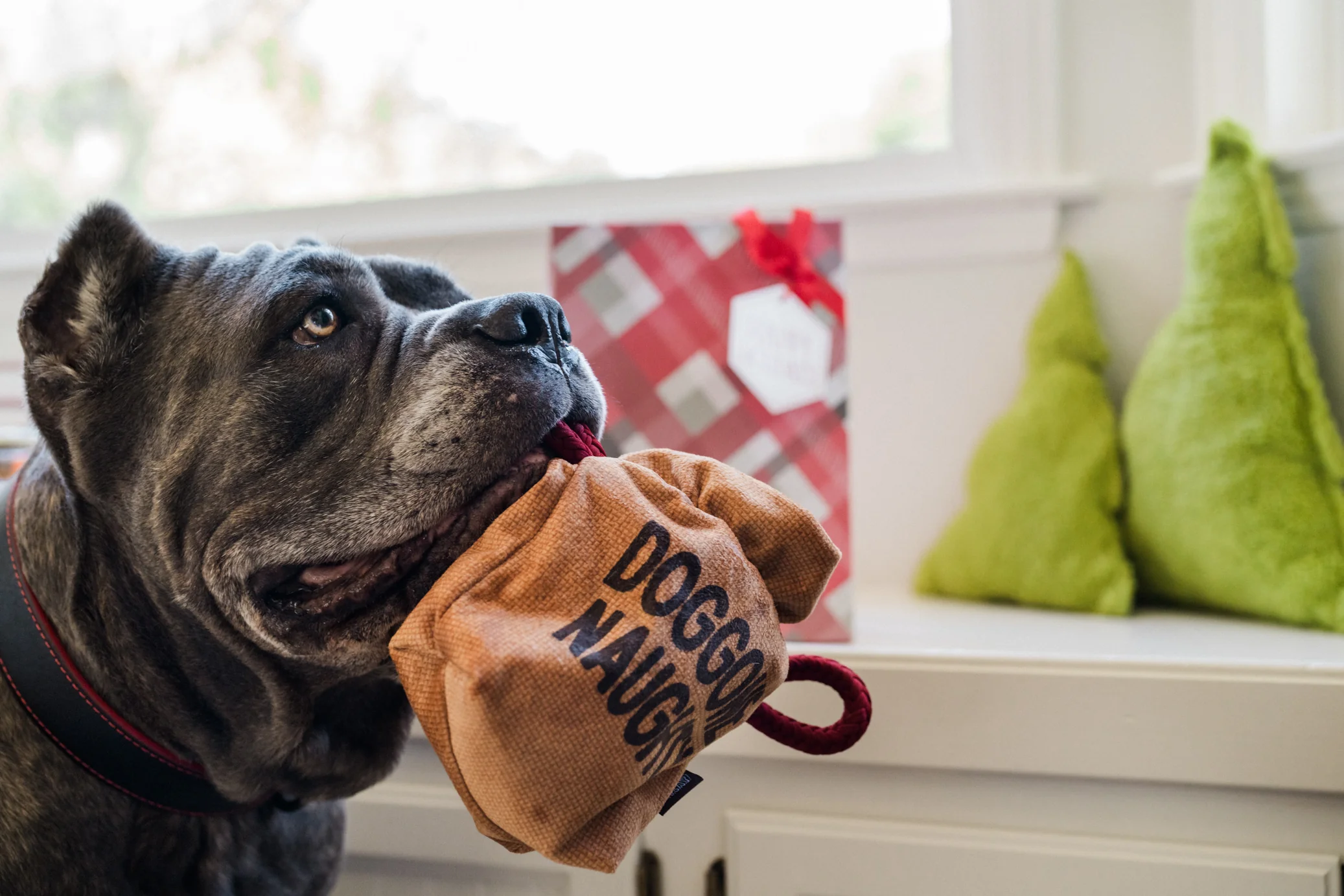 Home for the Holidays Fur-ever Naughty - Image 2