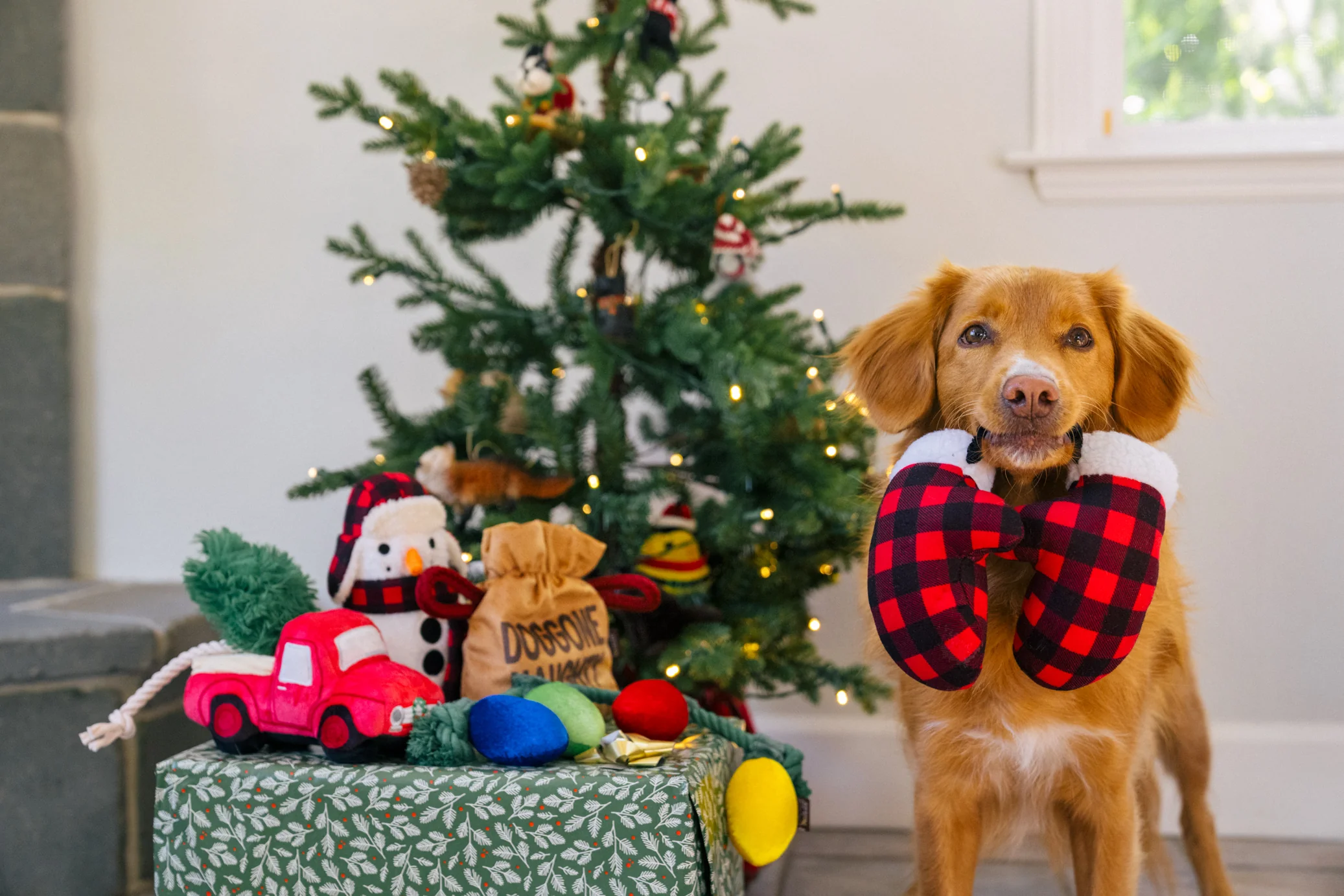 Home for the Holidays Paw Warmers - Image 2