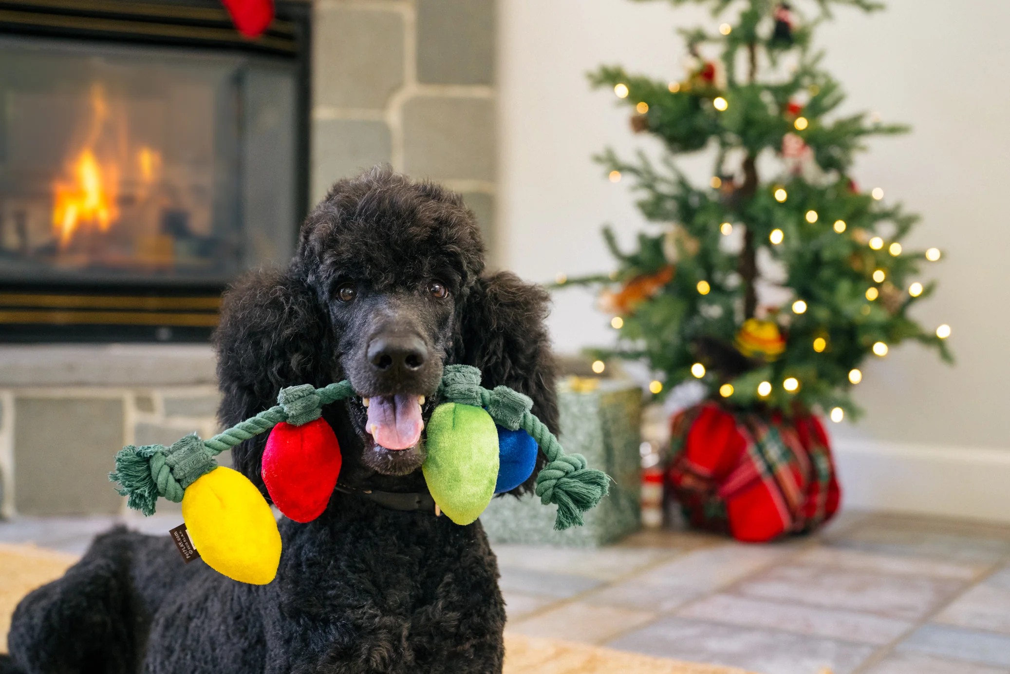 Home for the Holidays Twinkly Tugger - Image 2