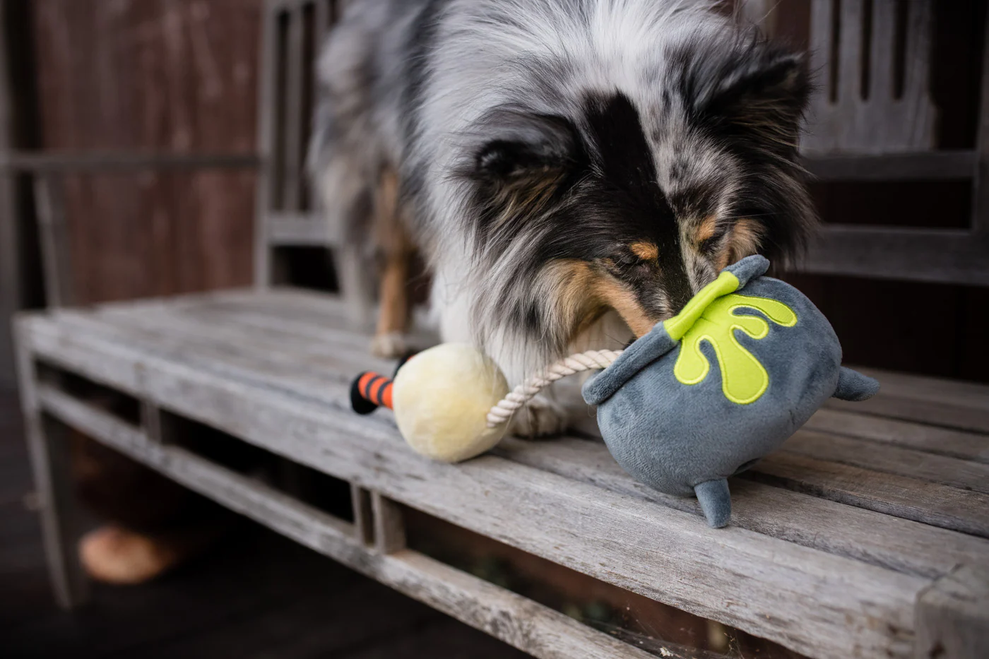 Howling Haunts Pup's Potion - Image 4