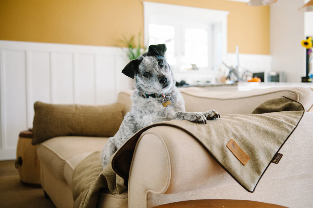Luxe Throw - Image 8