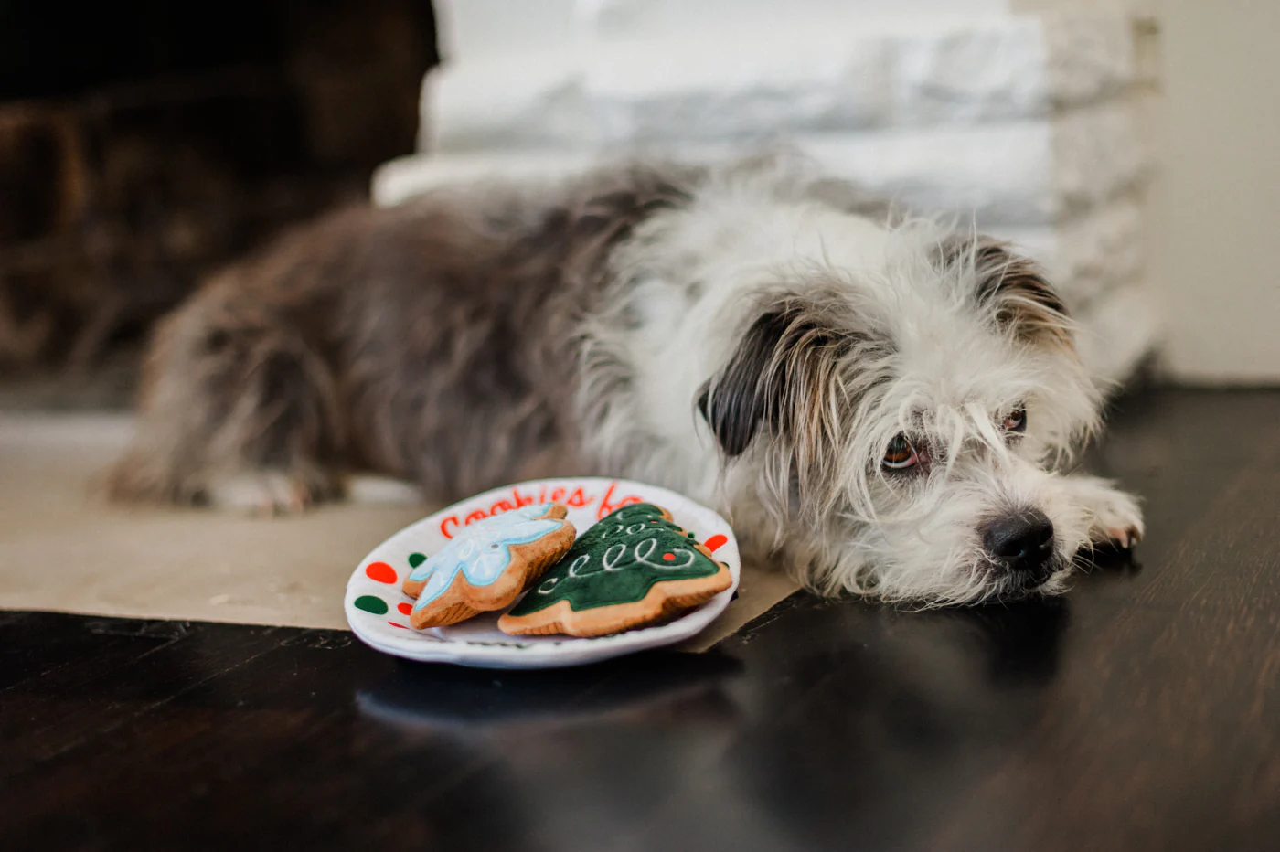Merry Woofmas Collection - Image 4