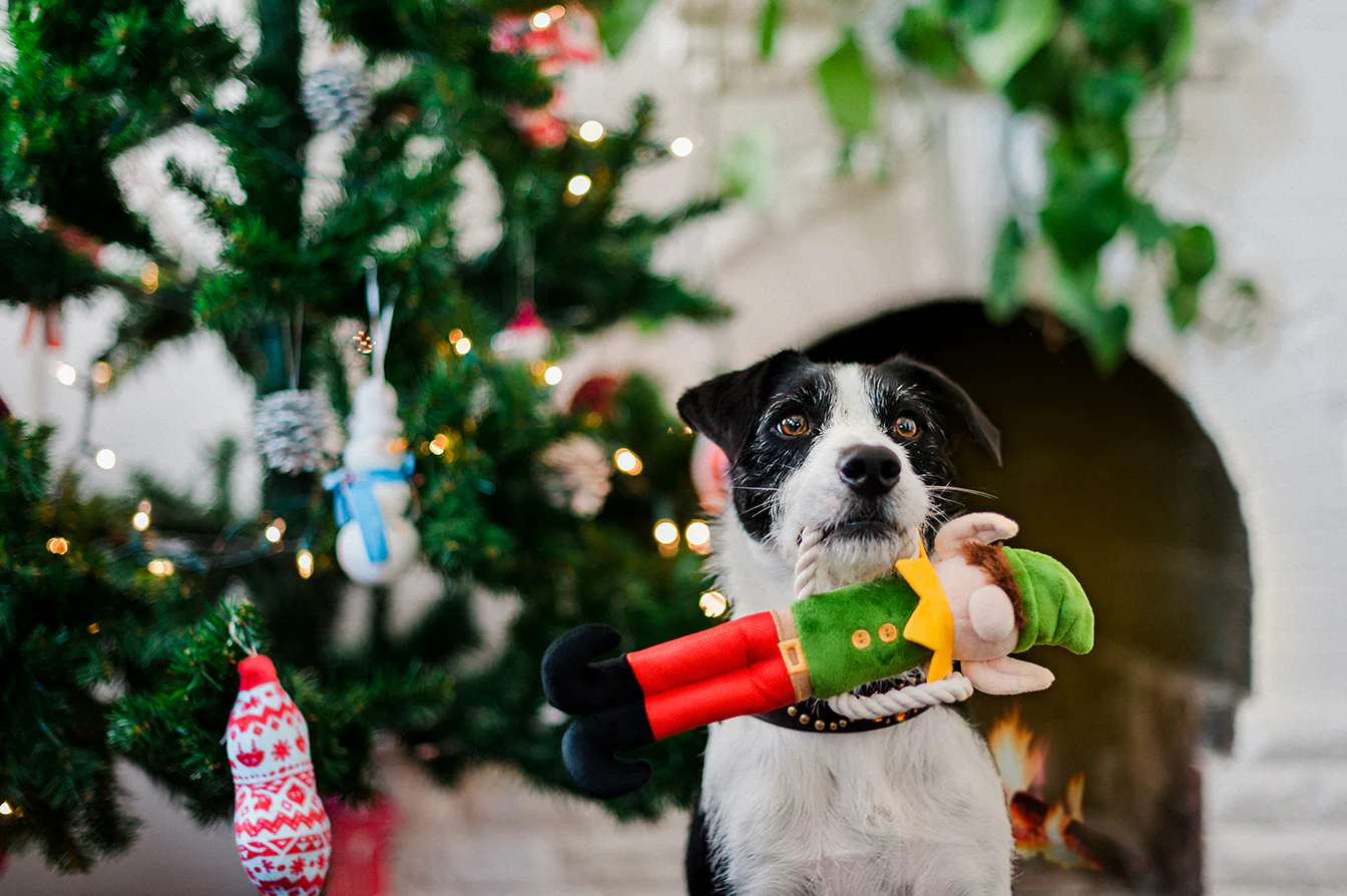 Merry Woofmas Collection - Image 8