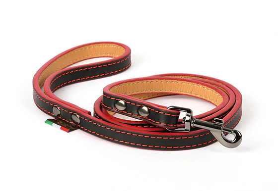 Napoli Leash - Image 2