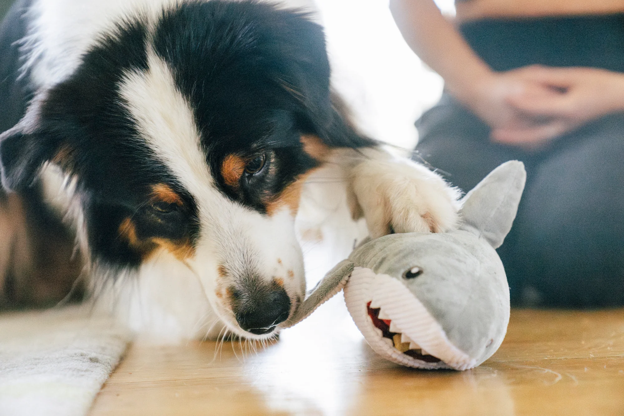 Ocean Buddies Great White Gabe - Image 6