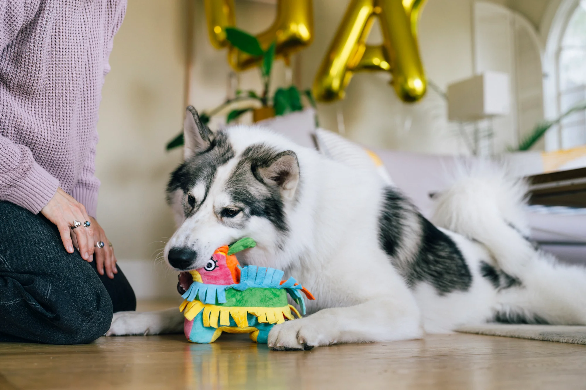 Party Animal Fiesta Fetch Pinata - Image 4