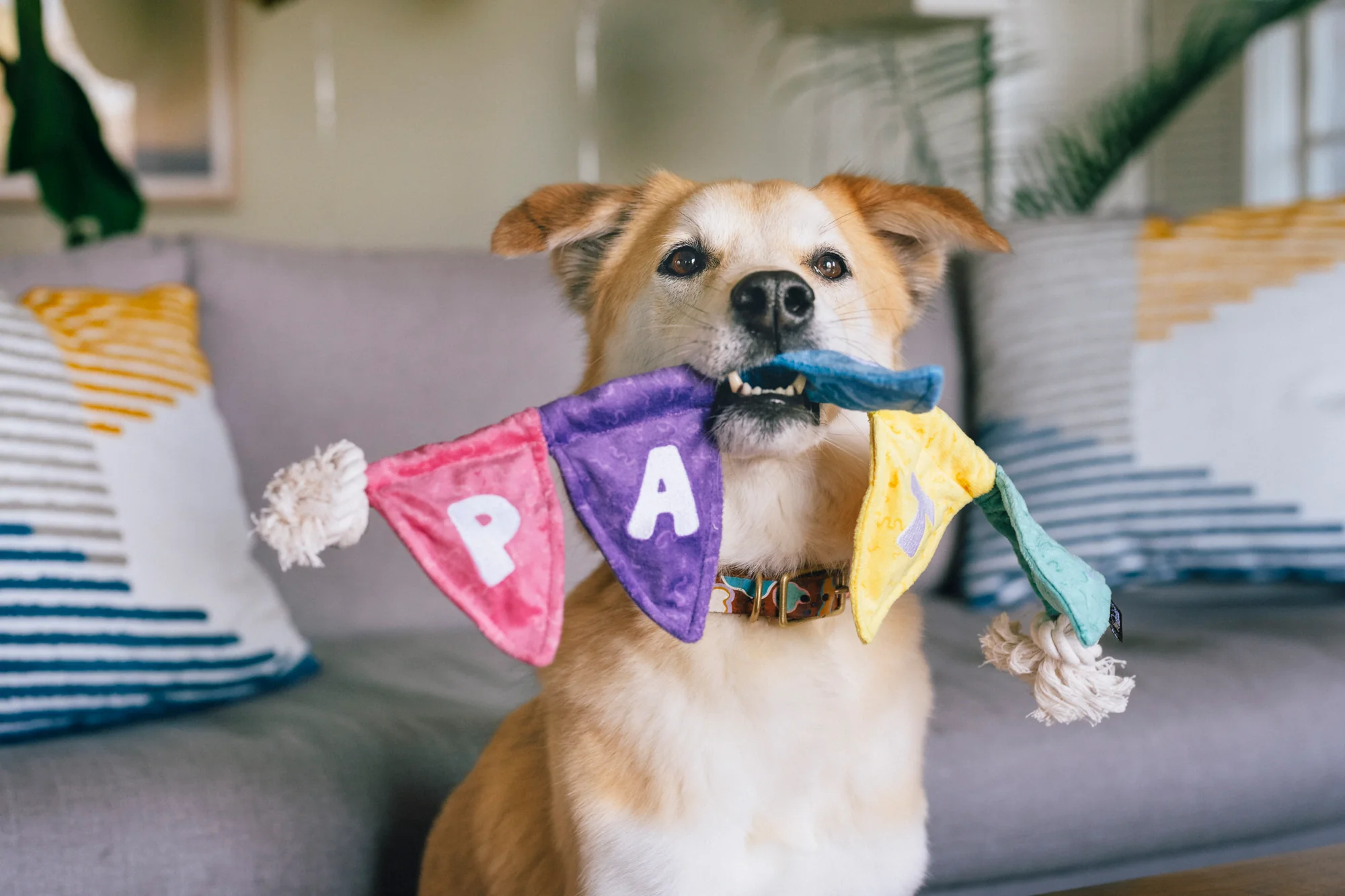 Party Animal Tug n’ Party Banner - Image 3