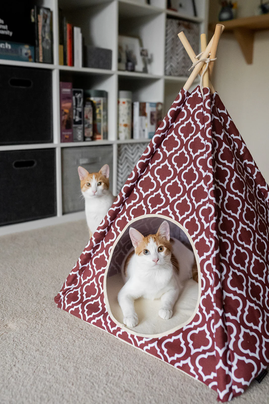 Classic Cozy Cove - Image 10