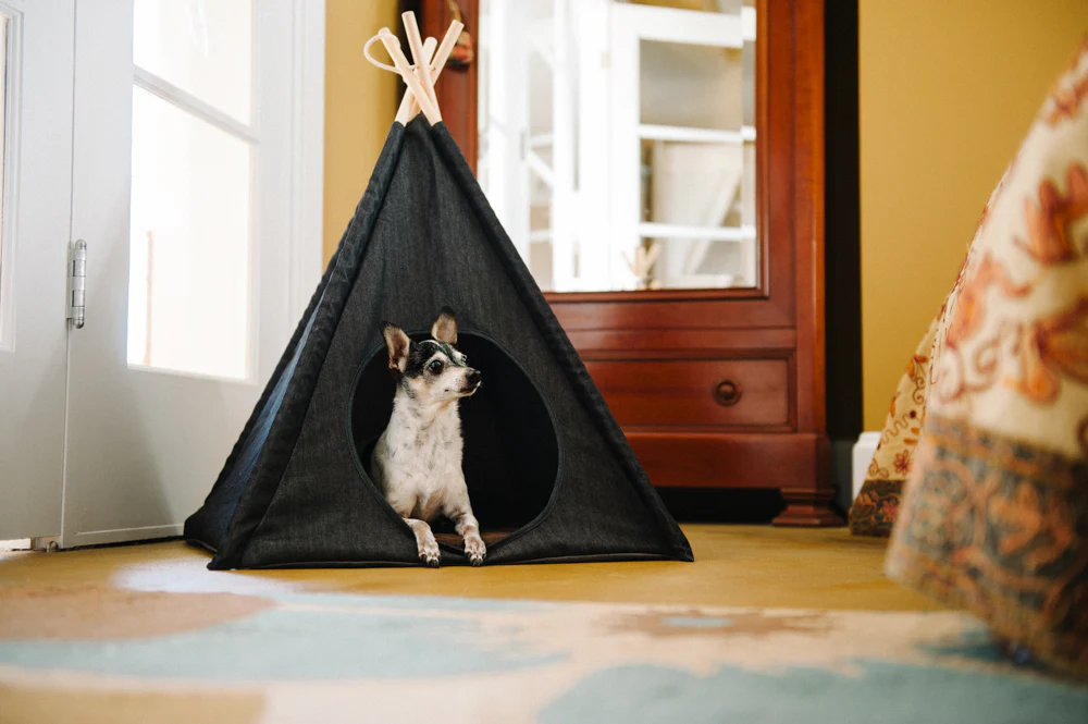 Classic Cozy Cove - Image 8