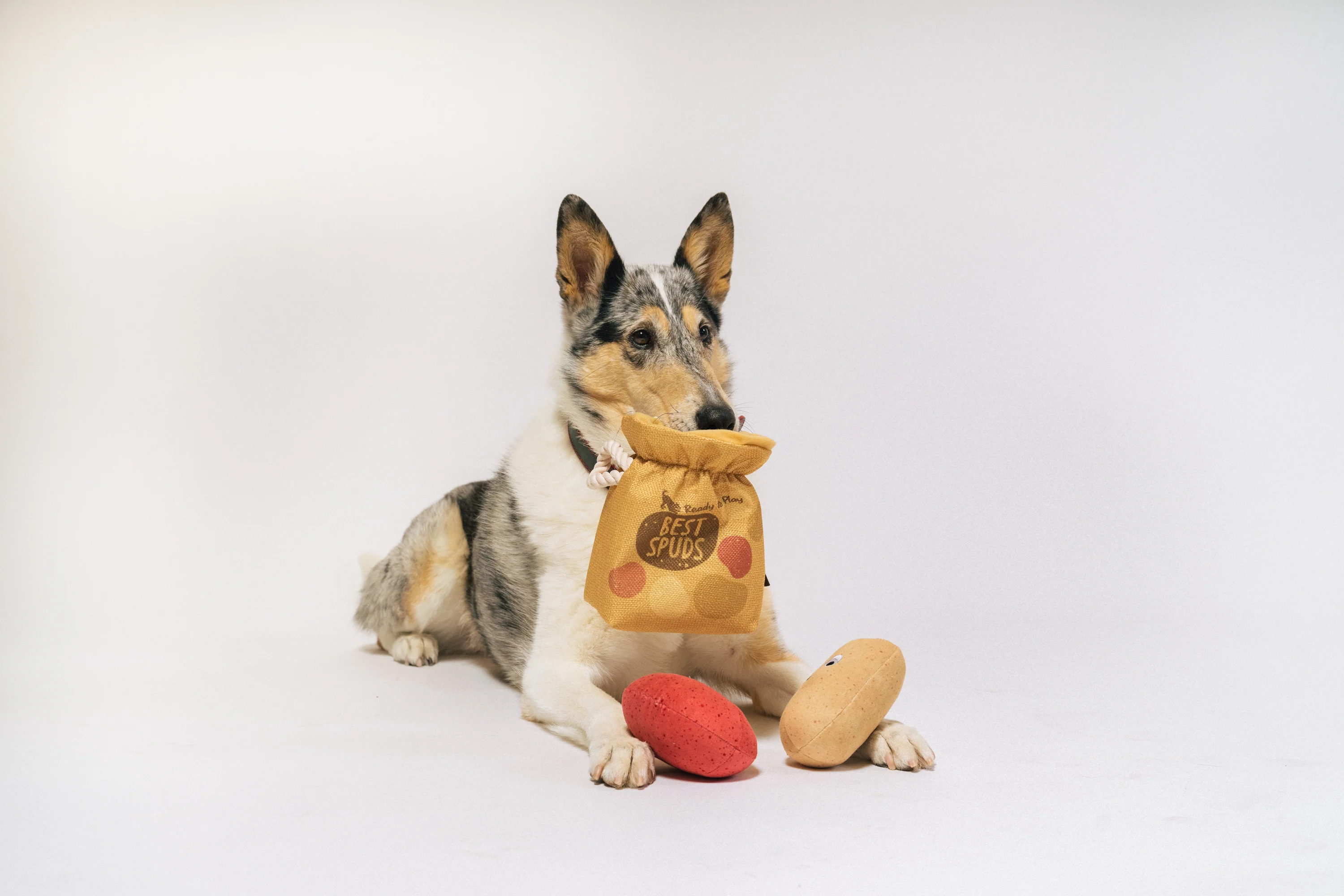 Picked Fresh Potato Pals - Image 4