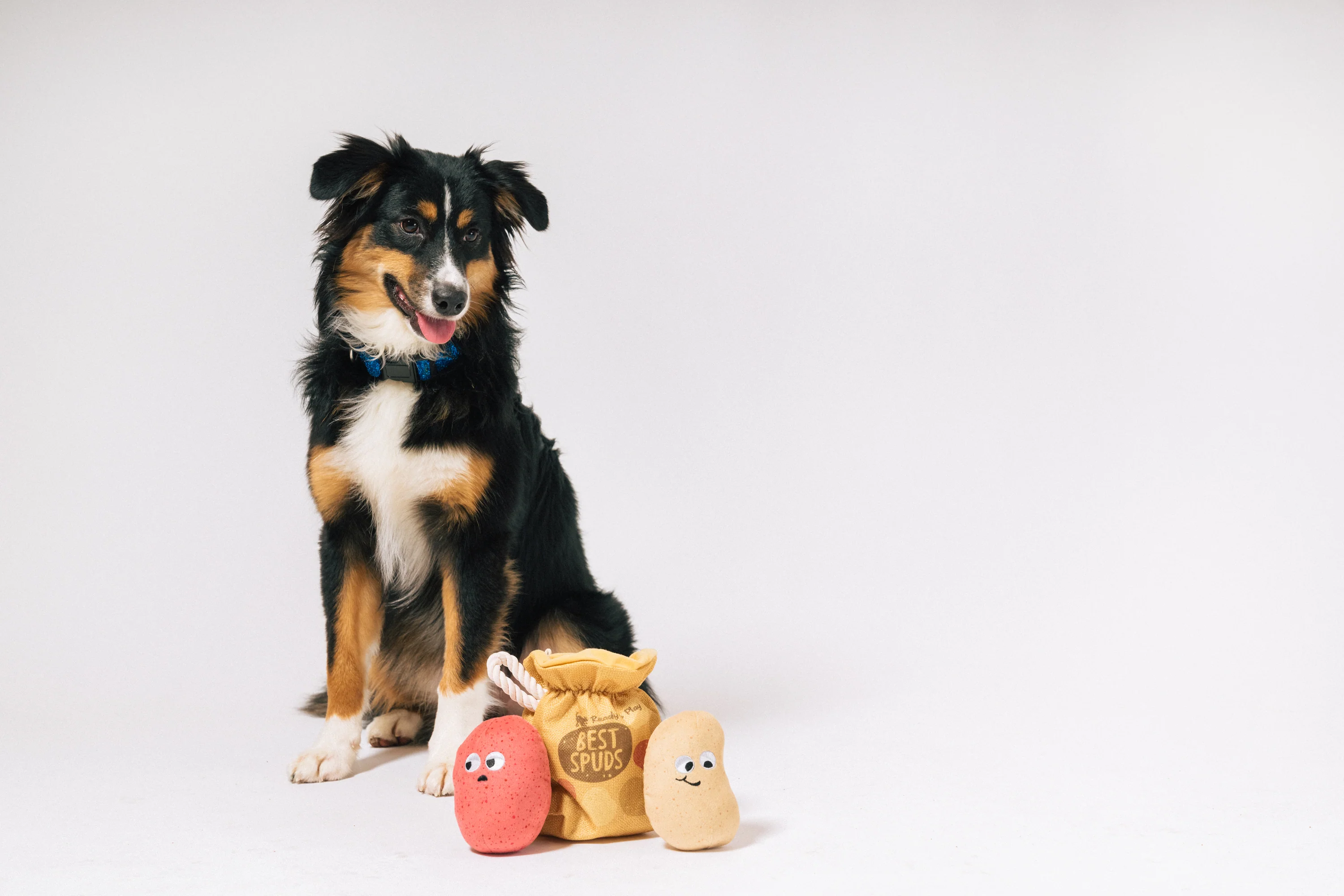 Picked Fresh Potato Pals - Image 6