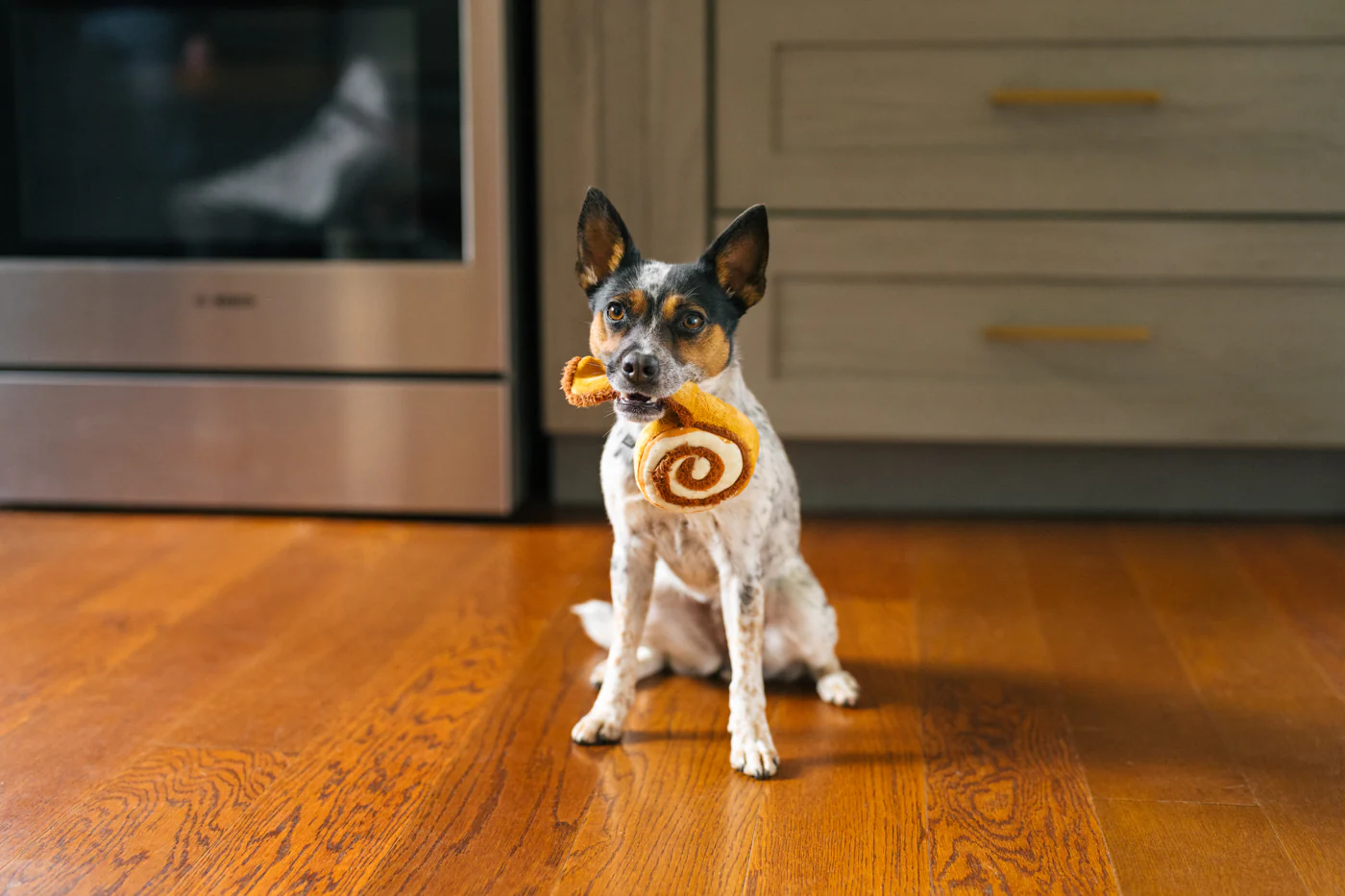 Pup Cup Cafe Cinna-bone - Image 4