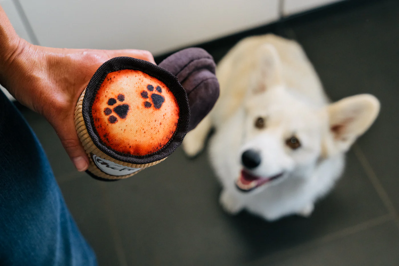 Pup Cup Cafe Collection - Image 10