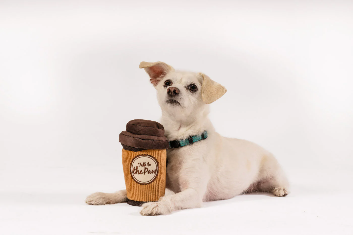 Pup Cup Cafe Doggo's Java - Image 6
