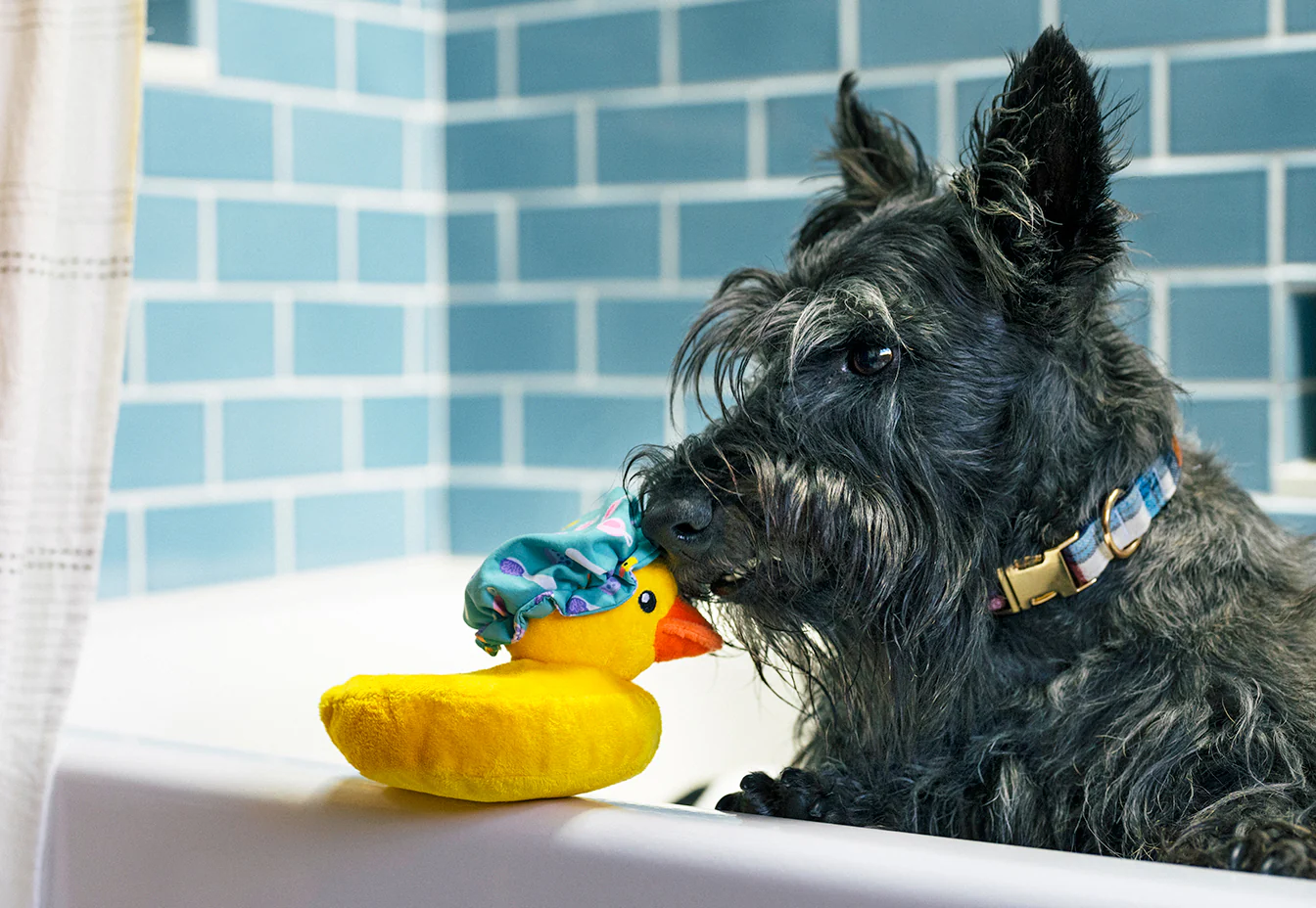 Splish Splash Collection - Image 10