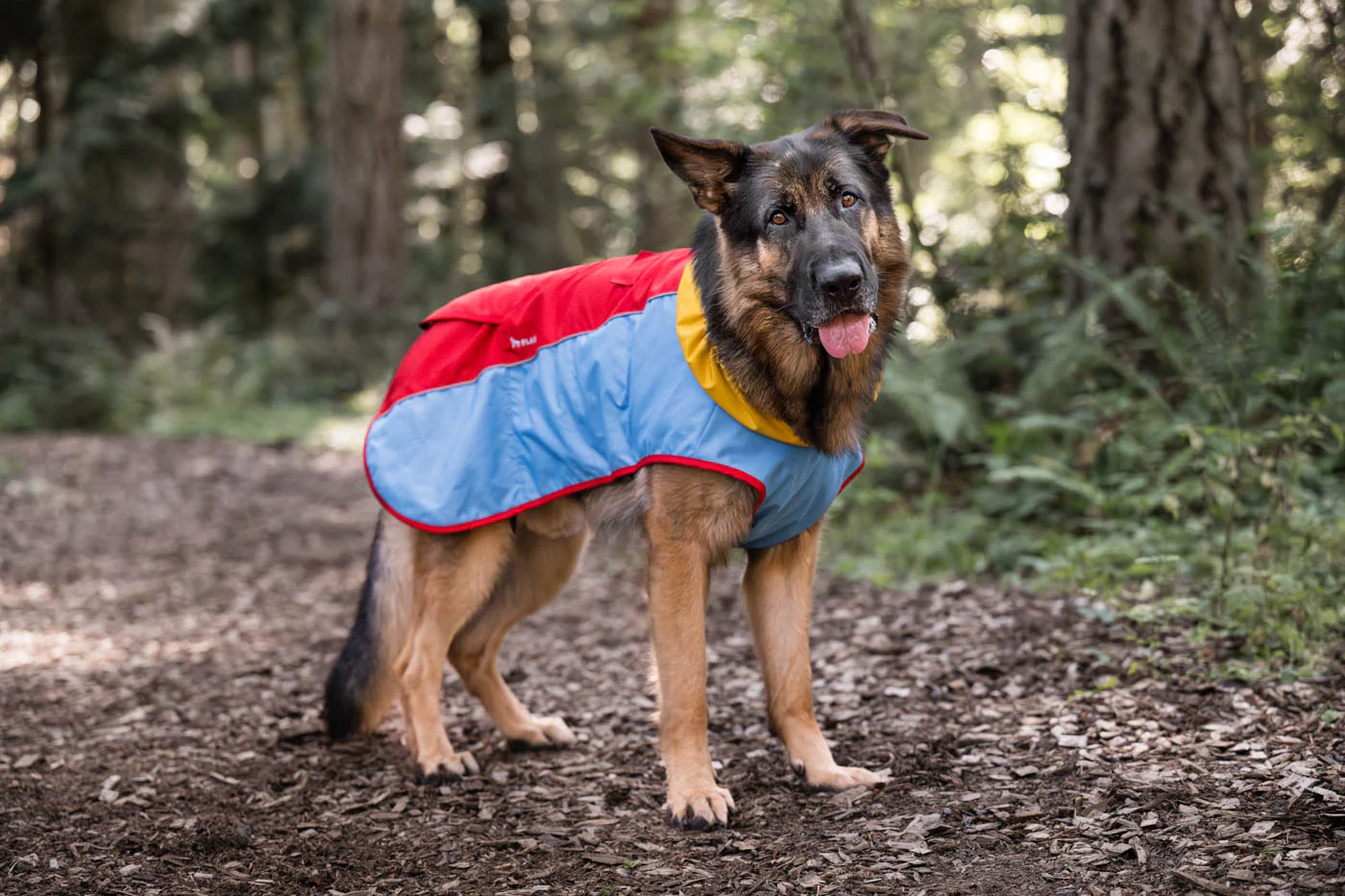 Trailblazing Coat - Image 3