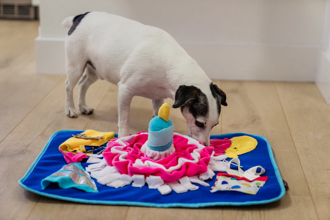 Woof-day Celebration Snuffle Mat - Image 2